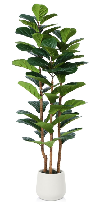 Pažeista prekė A137 Kazeila dirbtinis fikusas (150 cm)