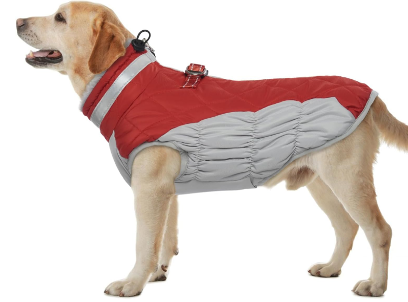 Neperšlampamas žieminis šuns paltas su pašiltinimu – raudonas (XL)