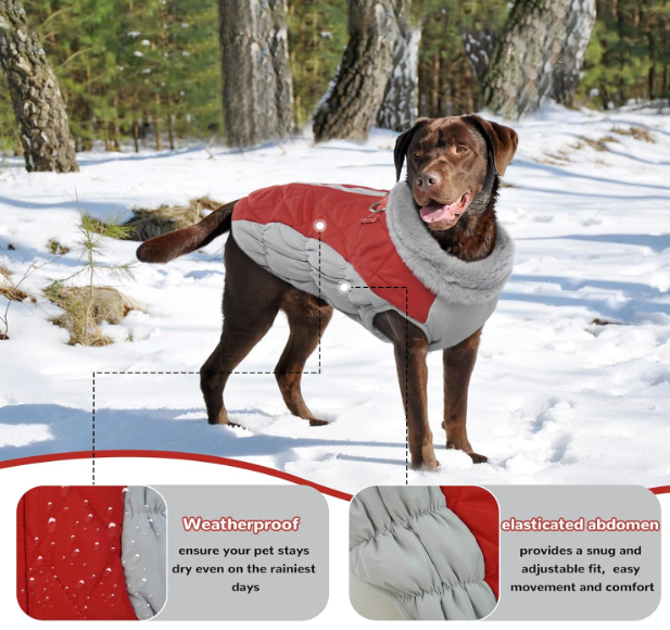 Neperšlampamas žieminis šuns paltas su pašiltinimu – raudonas (XL)
