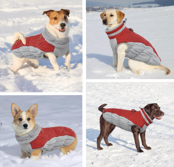 Neperšlampamas žieminis šuns paltas su pašiltinimu – raudonas (XL)