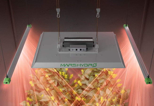 A210 Infraraudonųjų Spindulių Augalų Lempa