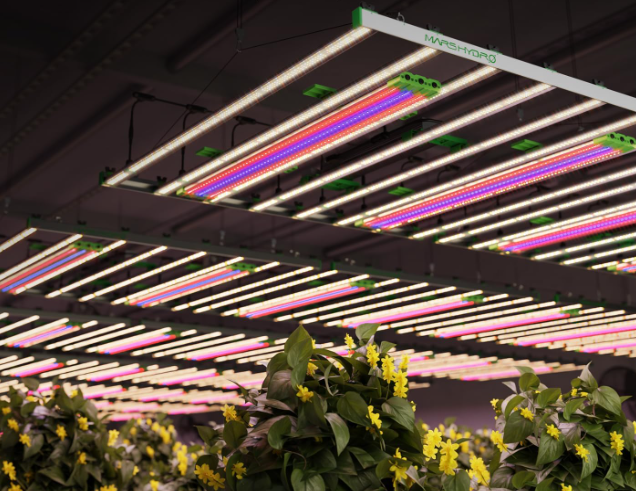 A210 Infraraudonųjų Spindulių Augalų Lempa