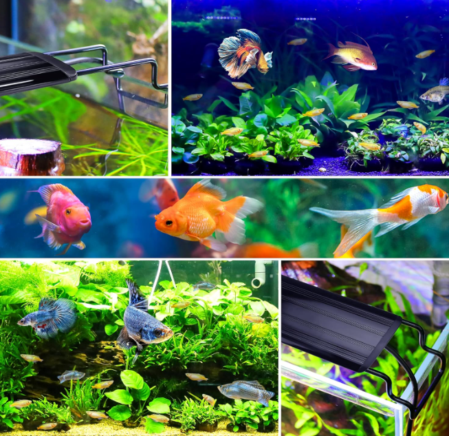 A252 Pažeista prekė. Akvariumo Lempa