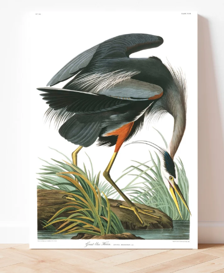 A312 Drobės Paveikslas ant Medinio Rėmo su gerve