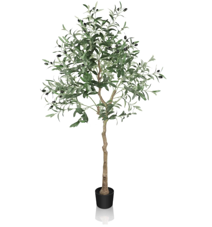 A648 Dekoratyvinis alyvuogiu medis 150 cm