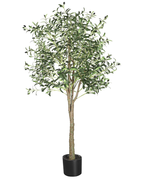 A721 Dekoratyvinis alyvuogių medis 170 cm