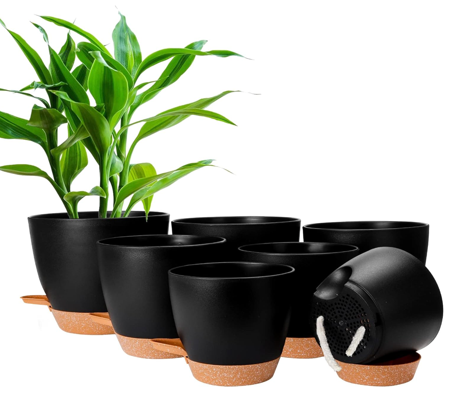 Black planter set 7pcs